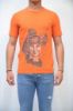 Immagine di | T-SHIRT ALESSANDRINI UOMO M6541E643 ARANCIO