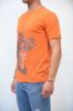 Immagine di | T-SHIRT ALESSANDRINI UOMO M6541E643 ARANCIO