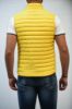 Immagine di GILET HETREGO UOMO CARANCHO 19 GIALLO